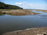 Restoring an Estuary